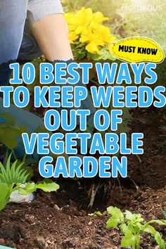 Keep Weeds Out of Garden Weeding Tips, Cover Crops, Pulling Weeds, Leafy Plants, Citrus Essential Oil, Crop Rotation, Fast Growing Plants