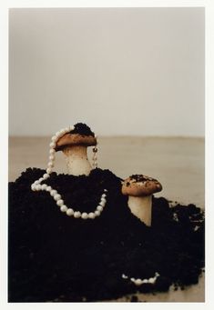 two mushrooms with pearls on their heads sitting in the dirt and one mushroom has a pearl necklace around its neck