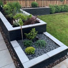 a garden with rocks and plants in it