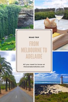 the road trip from melbourne to adeladie is one of the best things to do in australia