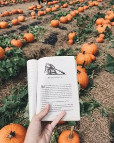 a person is holding an open book in front of pumpkins