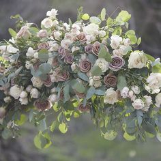 a bunch of flowers that are hanging from a tree branch with green leaves on it