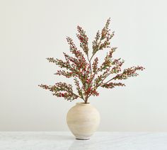 a white vase filled with red berries on top of a table next to a wall