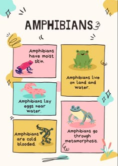 an illustrated poster with different types of amphieans and other animals on it