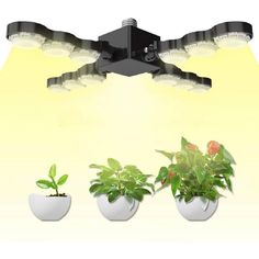 three potted plants sitting in front of a light fixture