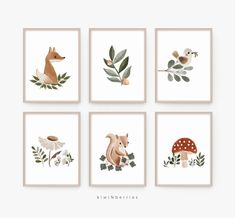 four framed art prints with animals and plants on the wall in different shapes, sizes and colors