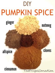 the ingredients for homemade pumpkin spice on a white background