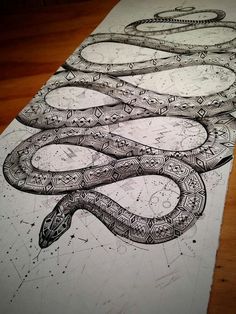 a pencil drawing of a snake on top of a piece of paper with an intricate design