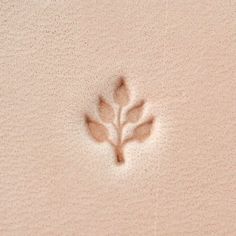 a small leaf is shown on the sand