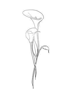 a drawing of a flower on a white background