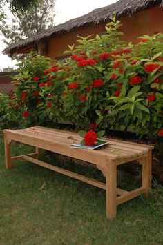 a wooden bench sitting in front of a bush with red flowers on it's side