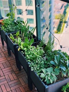 an assortment of plants in black planters on a brick floor next to a building