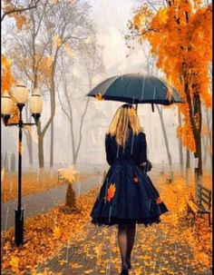 a woman with an umbrella walking down a path in the fall leaves on a rainy day