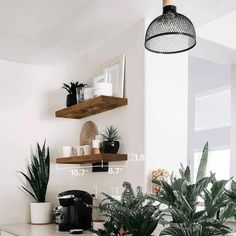 the kitchen counter is clean and ready to be used as a planter for houseplants