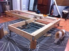 the dog is playing with his toys on the floor in front of the coffee table