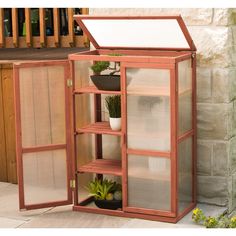 a potted plant in a wooden greenhouse