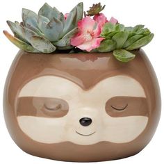 a ceramic planter with a slotty face and succulents