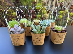 four small pots with succulents in them on a table