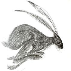 a black and white drawing of a rabbit on a white background with long tail feathers