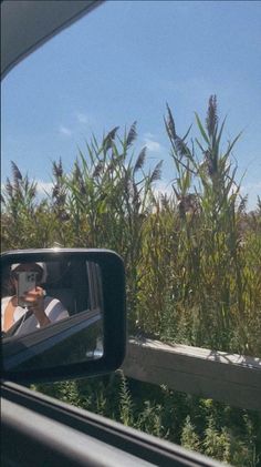 a person taking a photo in the side mirror of a car with tall grass behind them