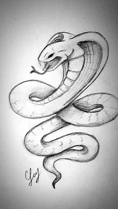 a drawing of a snake with its mouth open