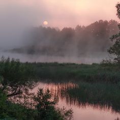 the sun is setting over a lake with fog in the air and trees around it