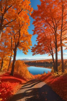 an autumn scene with trees and water in the background