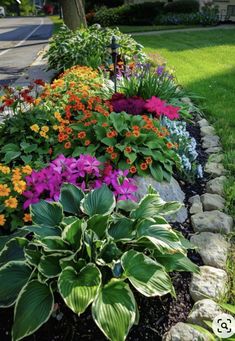 a garden with flowers and rocks in it