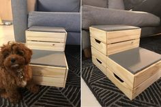 a dog sitting on the floor next to two wooden crates with their lids open and one is looking at the camera