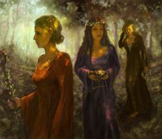 three women standing in the woods with trees