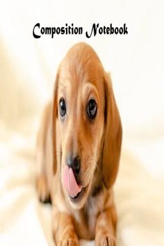 the cute puppy journal diary notebook golden dachshund is laying down with its tongue out