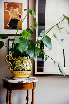 a potted plant sitting on top of a wooden table next to a framed painting