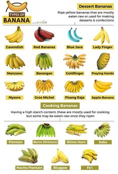 bananas are the most popular fruits in the world infographicly, they're delicious