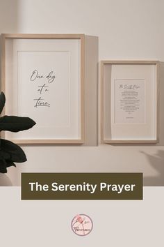 two framed pictures with the words, the serenity prayer and one is holding a plant