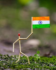 a stick man holding the flag of india on top of green mossy ground with trees in the background