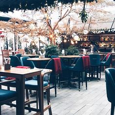 a restaurant with blue chairs and tables in front of a tree filled ceiling, lit by lights