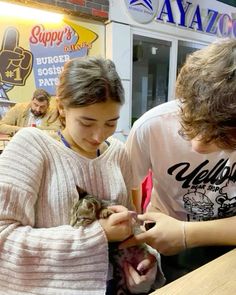 two people standing at a counter petting a small cat's ear while another person looks on