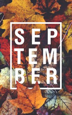 an image of autumn leaves with the words september