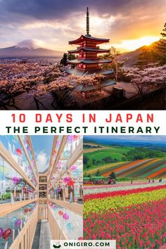 the top ten things to see in japan with text overlay that reads 10 days in japan the perfect itinerary