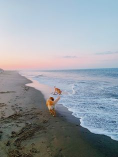 a dog is walking along the beach with its owner and his dog on it's back