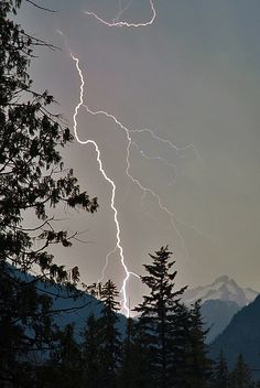 a lightning bolt strikes through the sky over trees and mountains in the distance, as seen from behind some evergreens