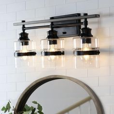 a bathroom vanity with three lights and a mirror on the wall next to potted plant