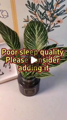 a potted plant with the words poor sleep quality please consider adding it to an image