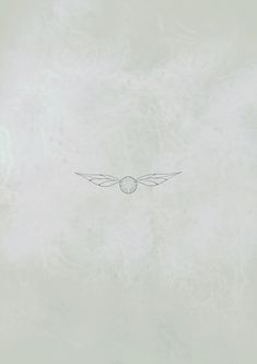 an image of a white background with wings