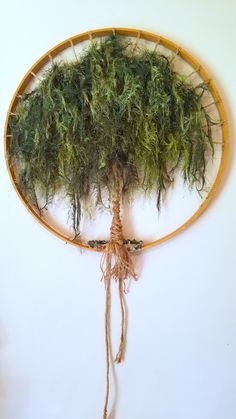 a tree is made out of branches and grass in a circular frame on the wall