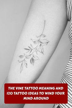 the vine tattoo meaning and 120 tattoo ideas to wind your mind around