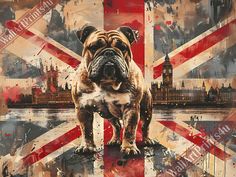 a bulldog is standing in front of the british flag