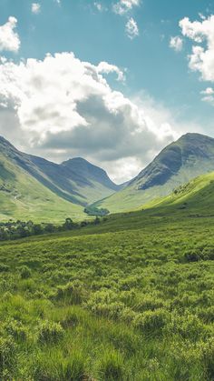 a grassy field with mountains in the background