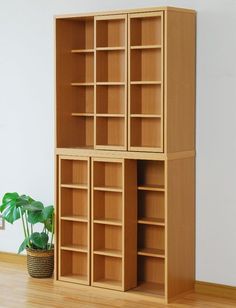 an empty bookcase next to a potted plant