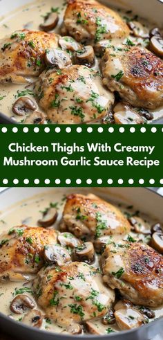 chicken thighs with creamy mushroom garlic sauce recipe